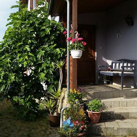 Urlaub Im Elsass Daire Artolsheim Dış mekan fotoğraf