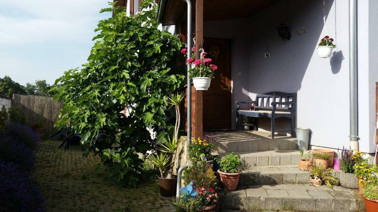 Urlaub Im Elsass Daire Artolsheim Dış mekan fotoğraf