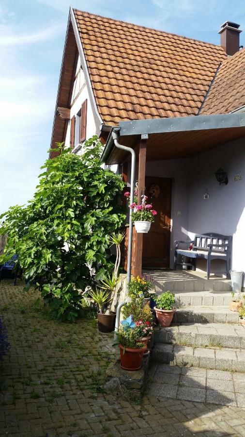 Urlaub Im Elsass Daire Artolsheim Dış mekan fotoğraf